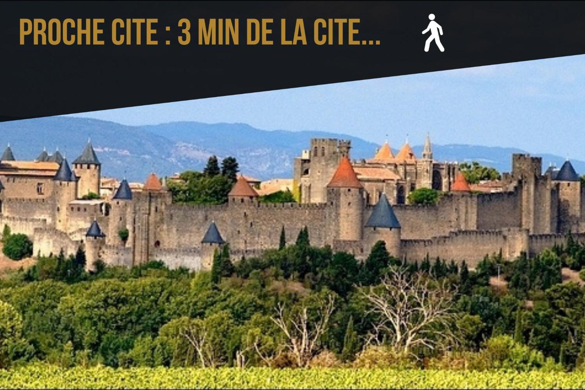 Les Gites De Laure - L'Or Vert, Appartement Avec Vue Sur Le Chateau, Parking Prive, Climatisation, Netflix, A 160 M De La Cite Medievale Carcassonne Exterior foto